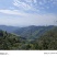 2025新榨山茶籽油、高山老茶树小籽批采价优