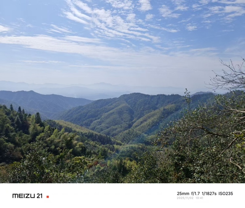 2025新榨山茶籽油、高山老茶树小籽批采价优