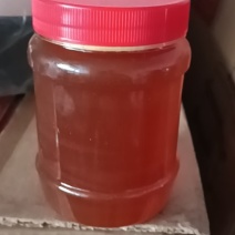 中蜂蜜纯野蜂蜜，一年采一次，质量有保证量大优惠