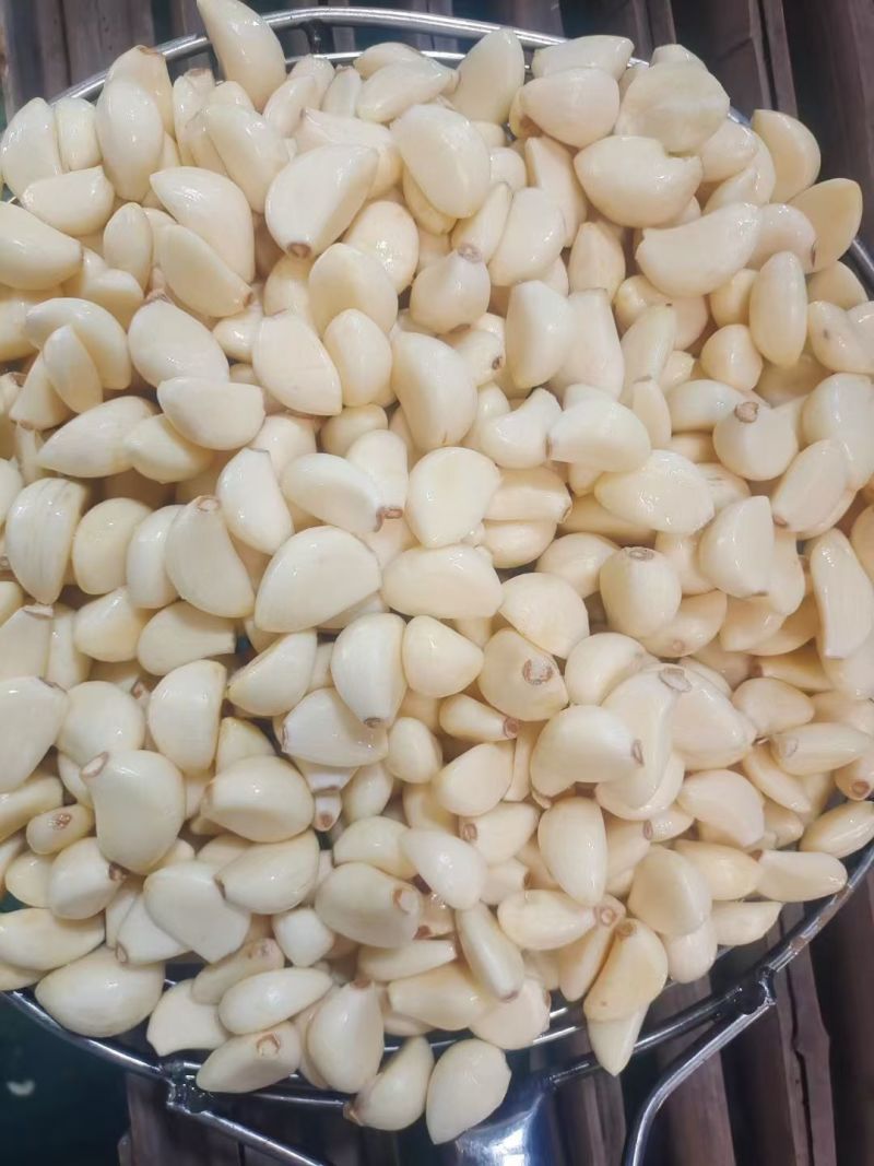 精品，干鲜蒜米，出口加工，市场蒜米，各种包装，常年现货