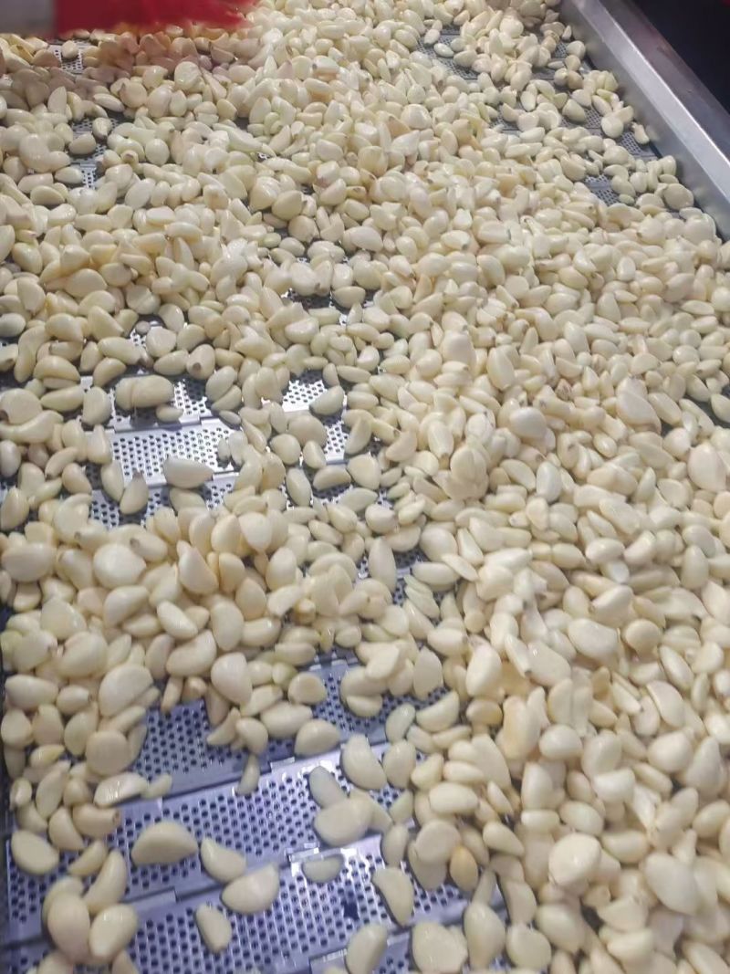 精品，干鲜蒜米，出口加工，市场蒜米，各种包装，常年现货