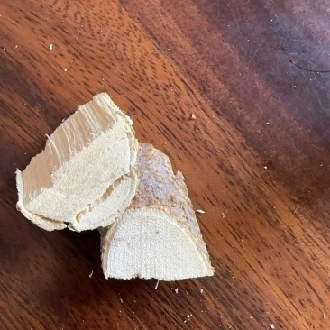 皂角树根