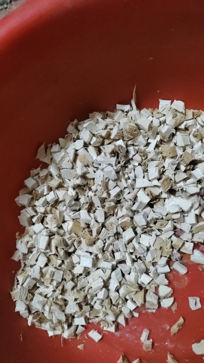 皂角树根