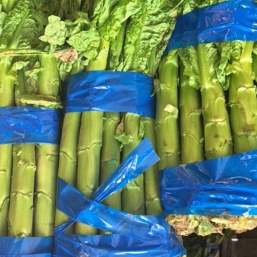阿坝州莴笋最后几车