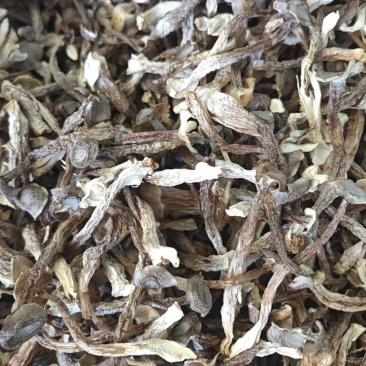 鹿茸菇厂家直销，量大从优