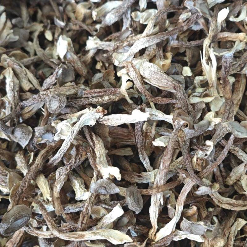 鹿茸菇厂家直销，量大从优