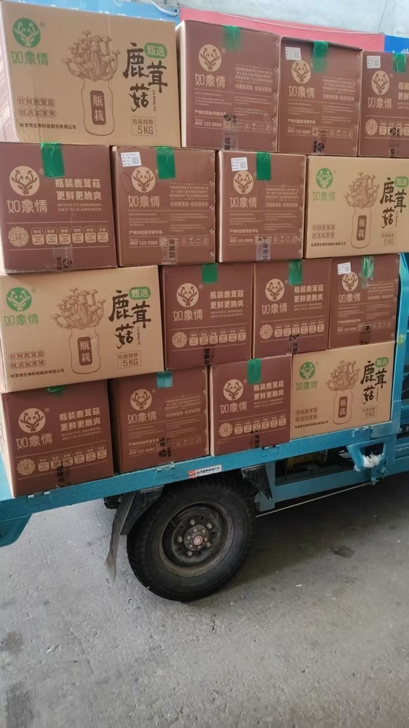 鹿茸菇厂家直销，量大从优