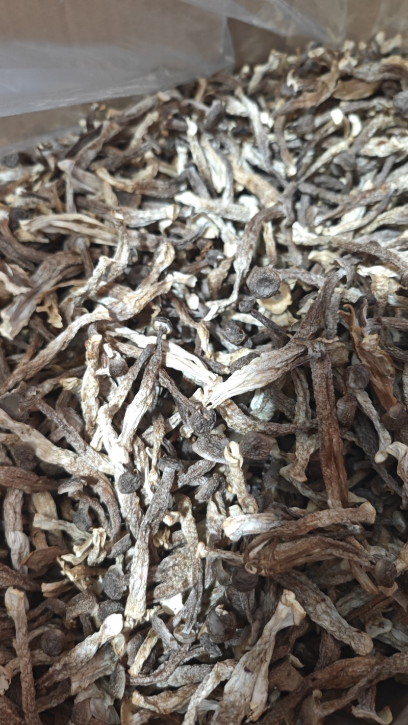 鹿茸菇厂家直销，量大从优