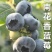 云南花香蓝莓25-11-42支持一件代发社群团购