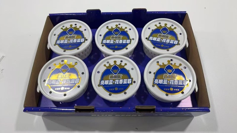 云南花香蓝莓25-11-42支持一件代发社群团购