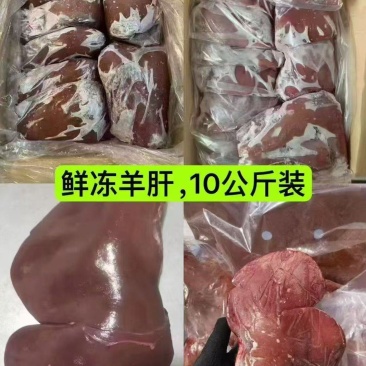 鲜冻羊肝