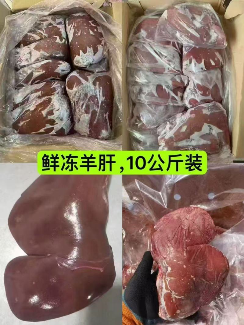 鲜冻羊肝
