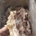 大块熟牛剔骨肉