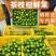 《新会柑》茶枝柑/新会直发/自家基地/给钱就卖欢迎采购