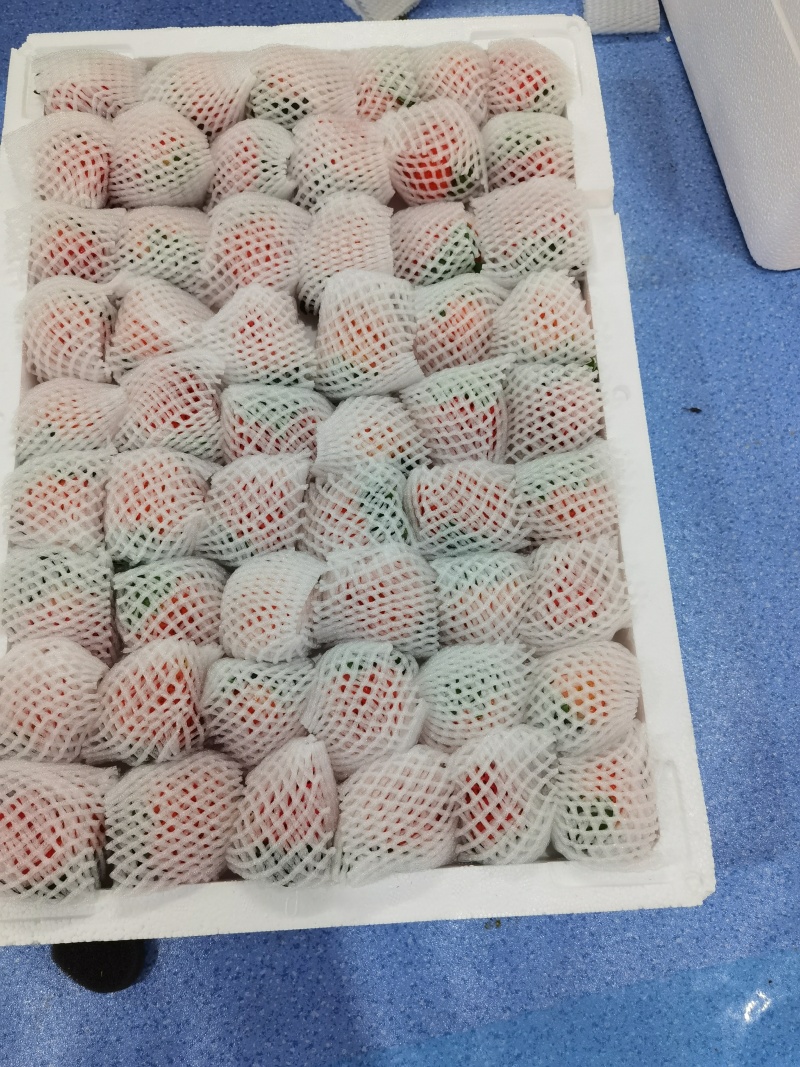 欢迎各位老板询价问价产地草莓质量杠杠滴