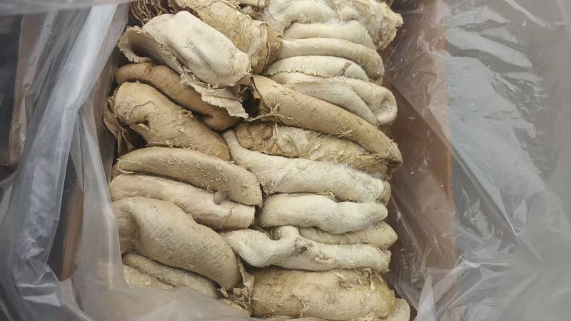 原装纯干进口牛百叶，火锅食材