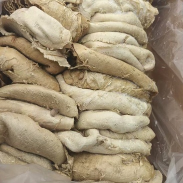 原装纯干进口牛百叶，火锅食材
