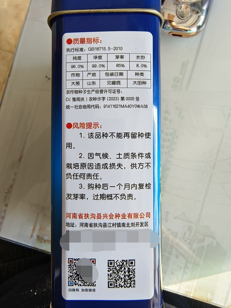 铁杆葱杂交品种抗病耐寒葱白硬且瓷实叶片直立
