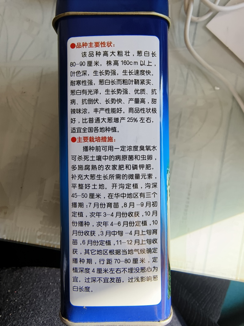铁杆葱杂交品种抗病耐寒葱白硬且瓷实叶片直立