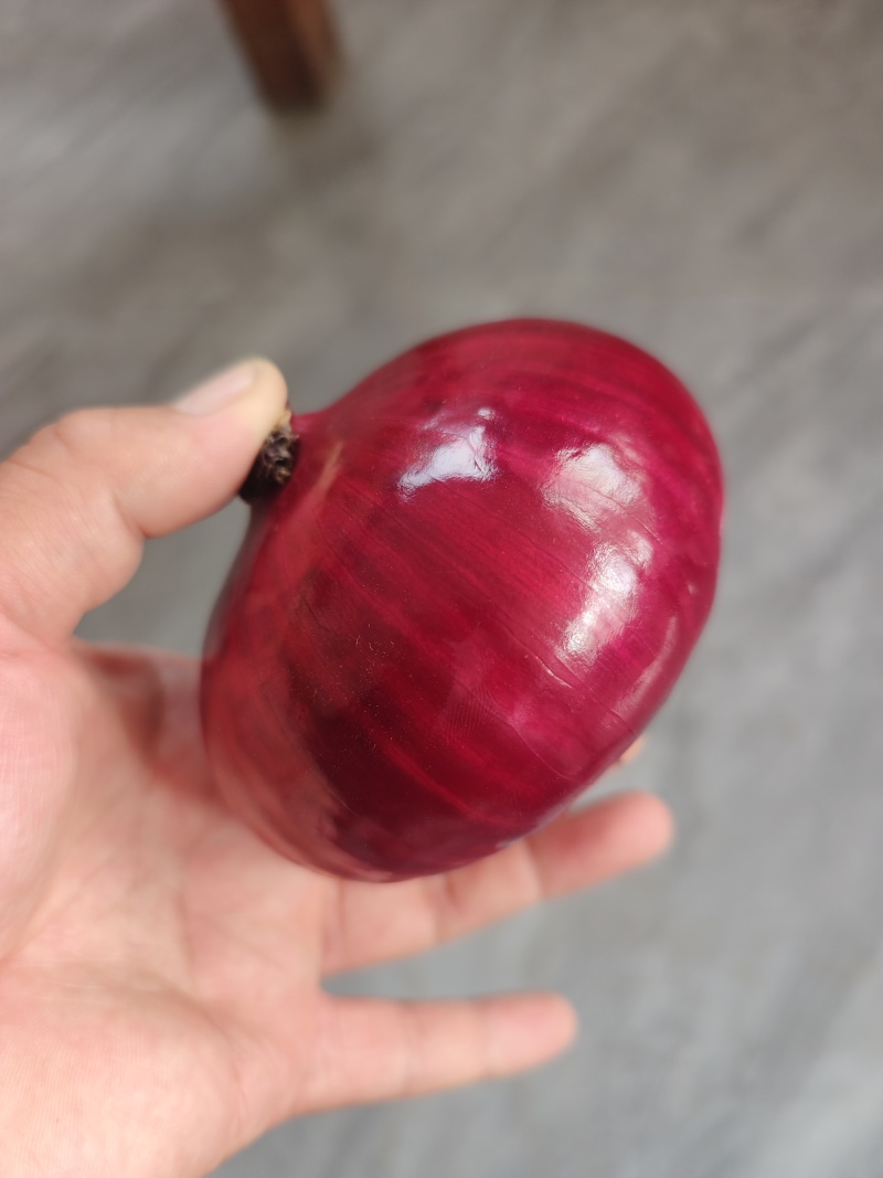 精品紫皮洋葱，哽度很好