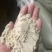 饲料原料大米抛光粉需要的联系