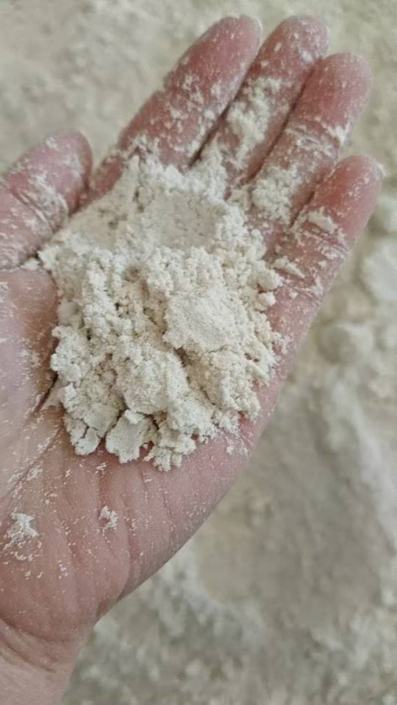 饲料原料大米抛光粉需要的联系