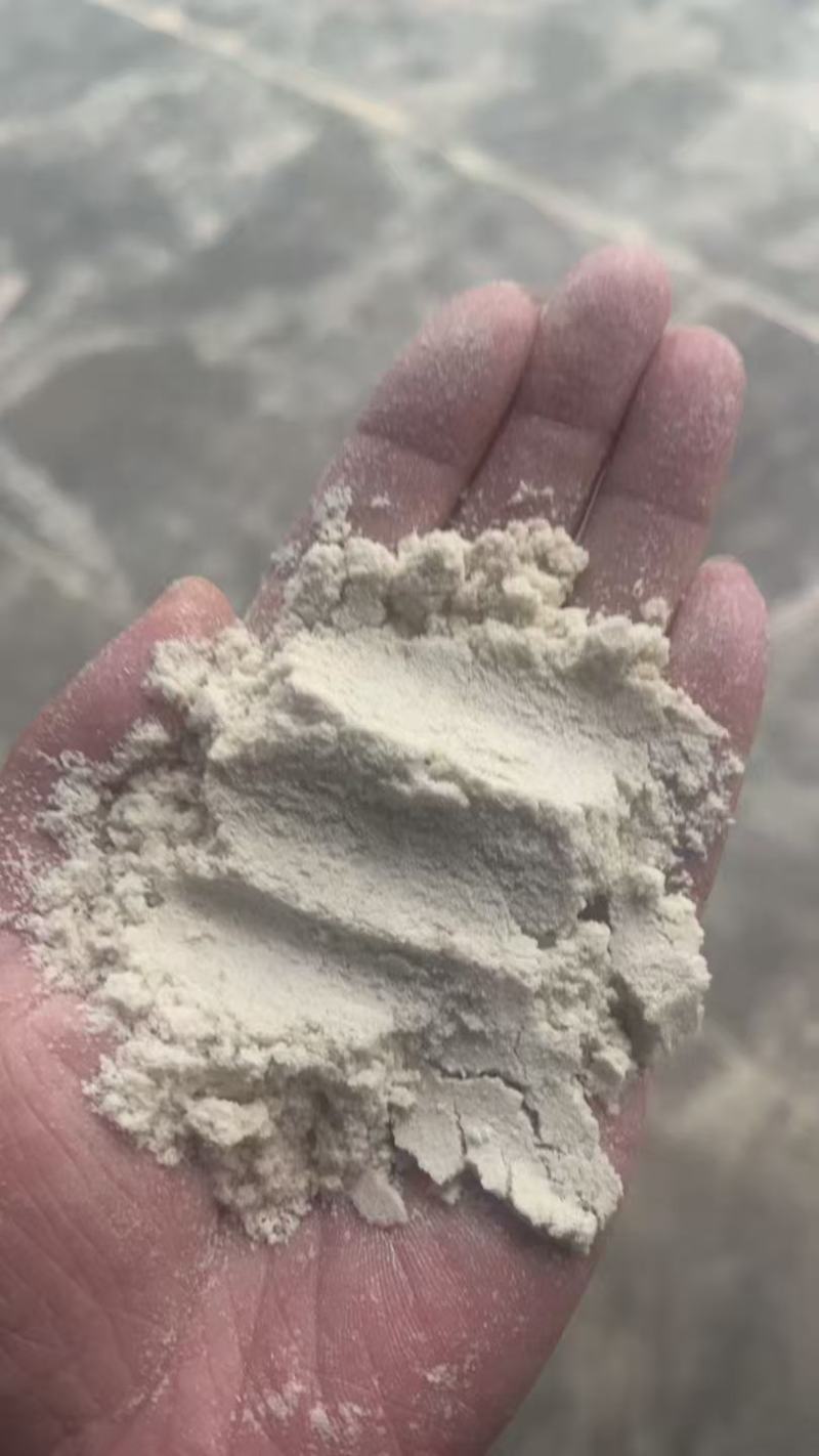 饲料原料大米抛光粉需要的联系