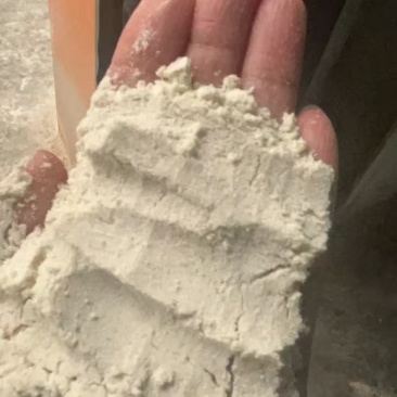 饲料原料大米抛光粉需要的联系