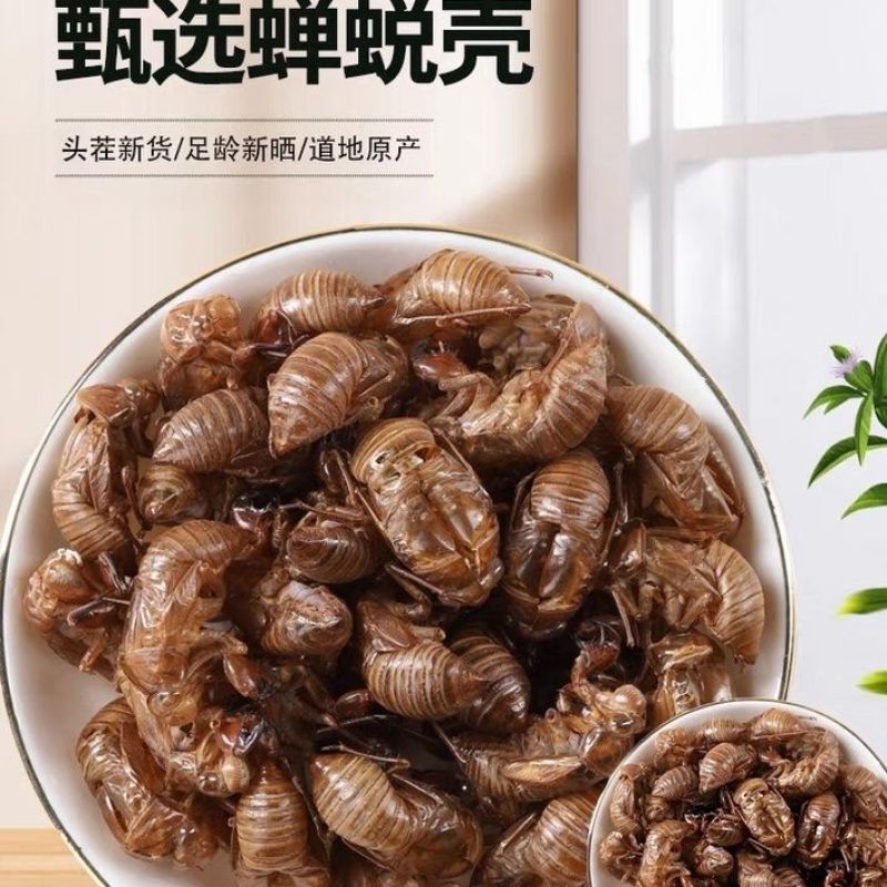 中药材野生蝉蜕壳蝉衣虫蜕90%完整度优质药食同源食品精品