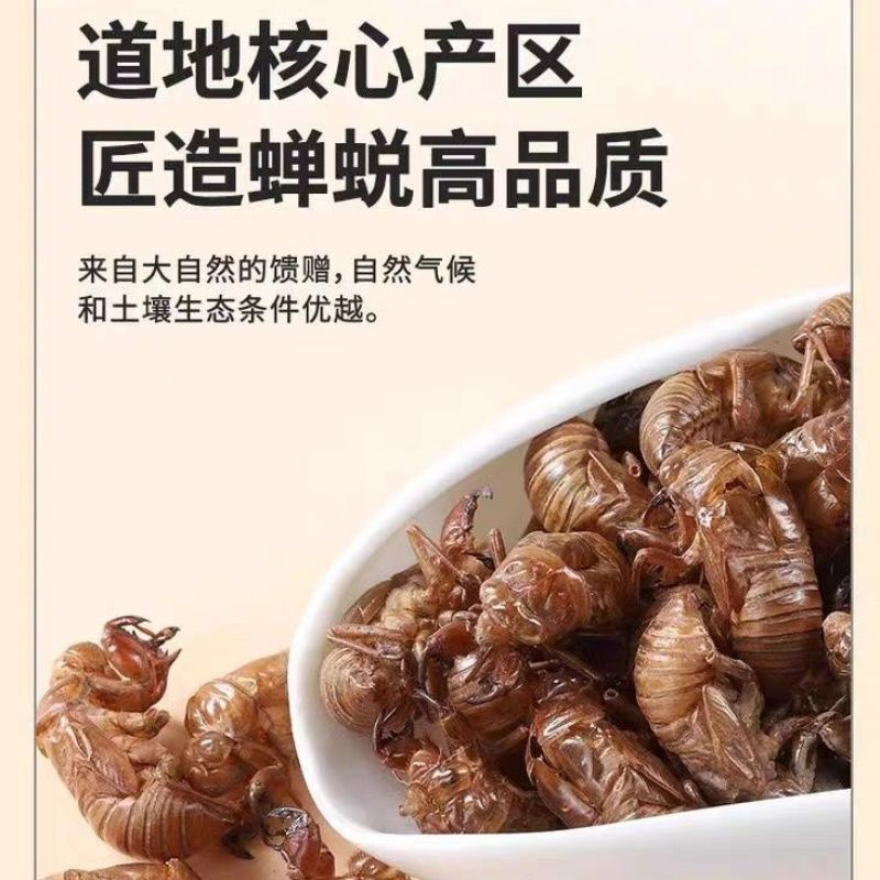 中药材野生蝉蜕壳蝉衣虫蜕90%完整度优质药食同源食品精品