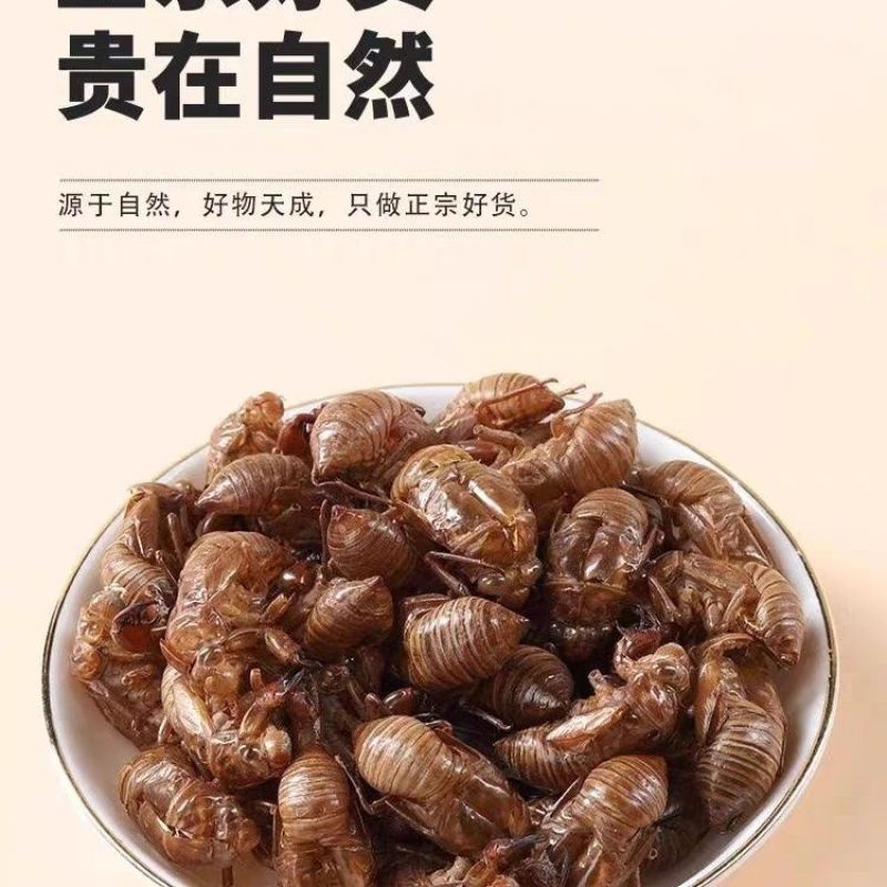 中药材野生蝉蜕壳蝉衣虫蜕90%完整度优质药食同源食品精品