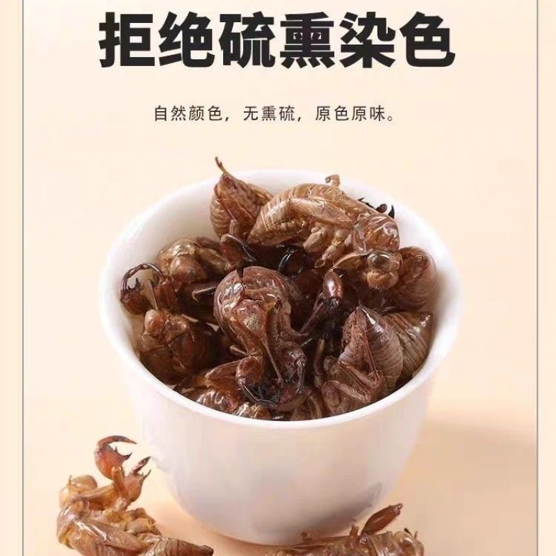 中药材野生蝉蜕壳蝉衣虫蜕90%完整度优质药食同源食品精品