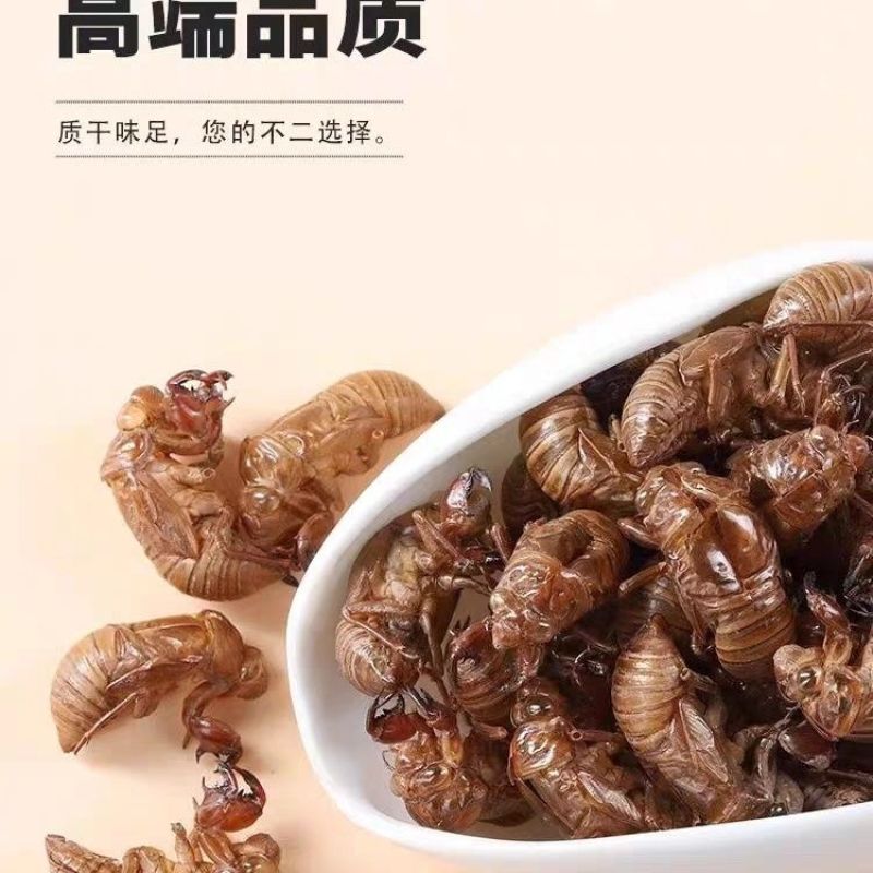 中药材野生蝉蜕壳蝉衣虫蜕90%完整度优质药食同源食品精品