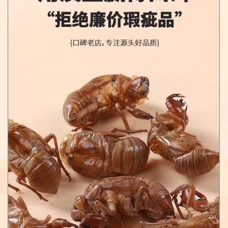 中药材野生蝉蜕壳蝉衣虫蜕90%完整度优质药食同源食品精品