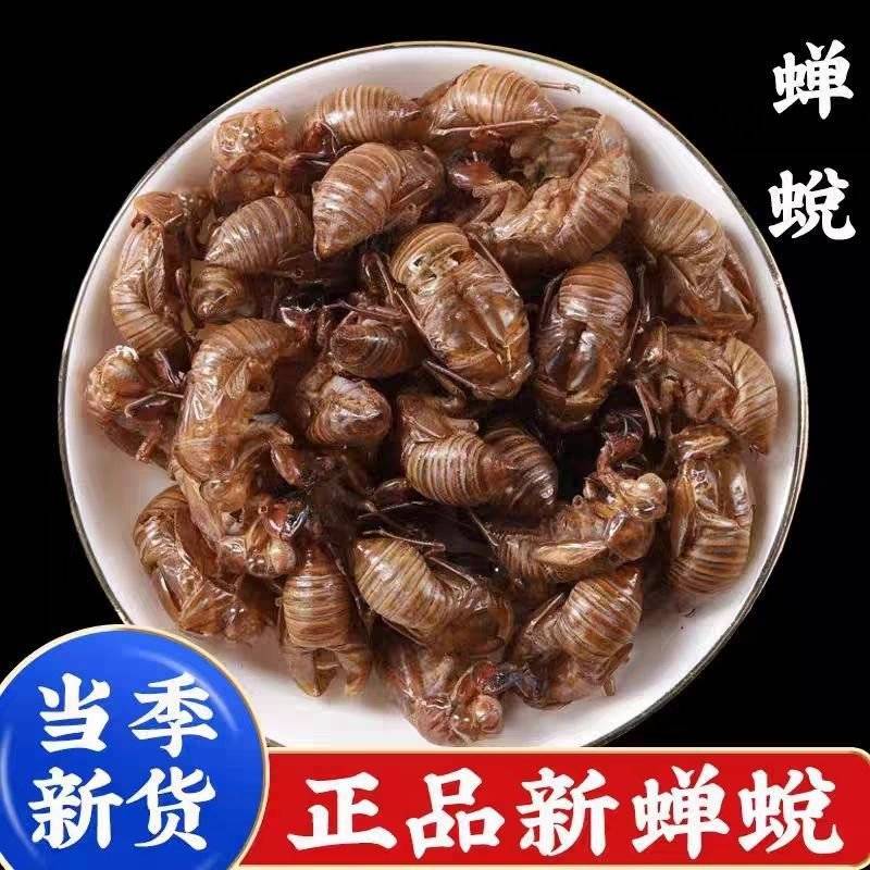 中药材野生蝉蜕壳蝉衣虫蜕90%完整度优质药食同源食品精品