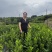 川佛手种植基地中药材种植基地一手货源包技术包回收