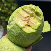国产云南孟连县芒信镇哈斯牛油果坏果烂果包赔