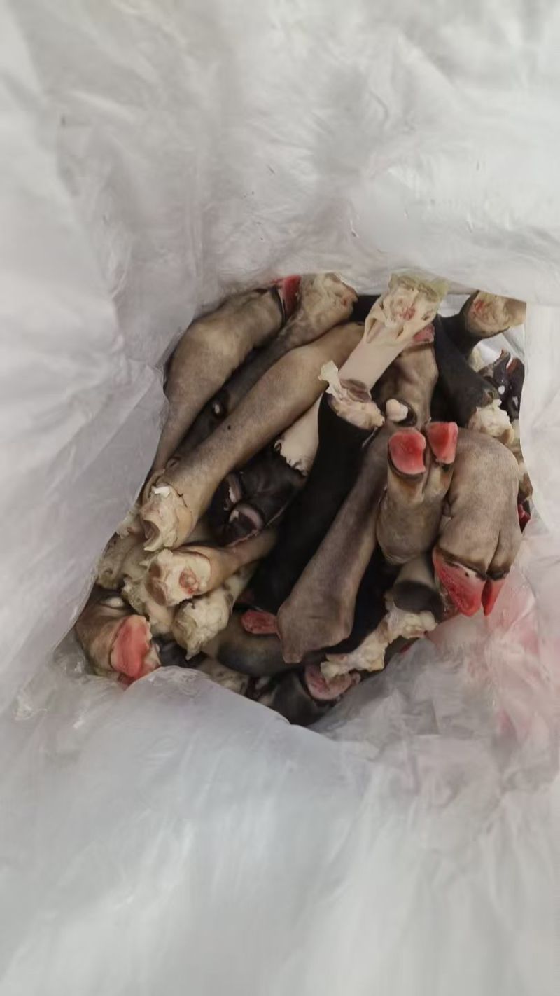 羊蹄，黑花羊蹄，不抽筋羊蹄，不抽筋黑花羊蹄