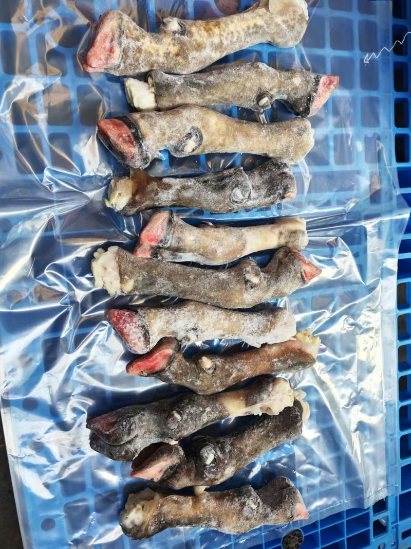 羊蹄，黑花羊蹄，不抽筋羊蹄，不抽筋黑花羊蹄