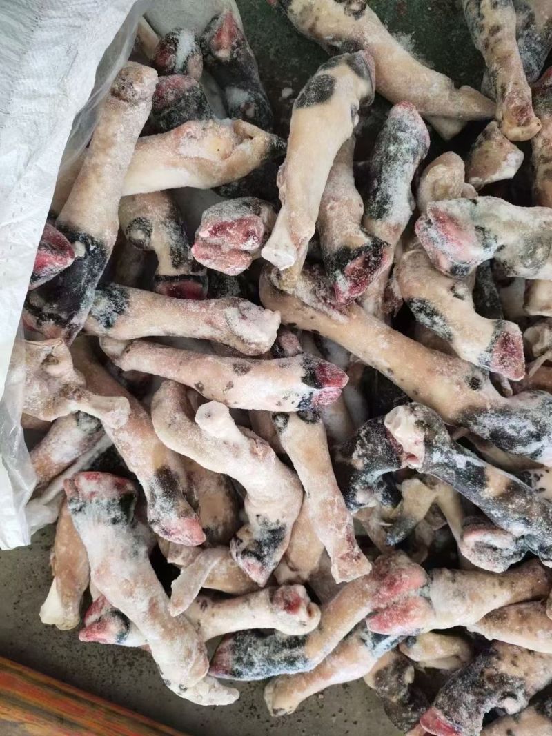 羊蹄，黑花羊蹄，不抽筋羊蹄，不抽筋黑花羊蹄