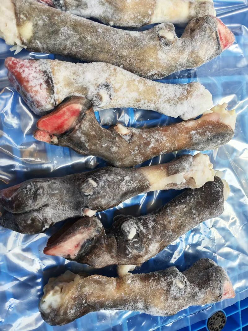 羊蹄，黑花羊蹄，不抽筋羊蹄，不抽筋黑花羊蹄