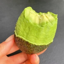 云南孟连县自家种植的15亩牛油果产地发货