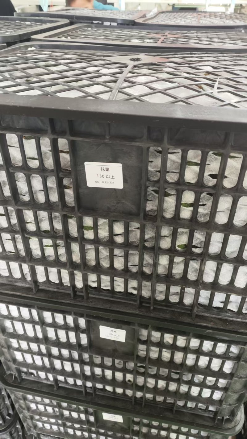 云南省普洱市孟连县哈斯牛油果新鲜采摘发货正宗哈斯