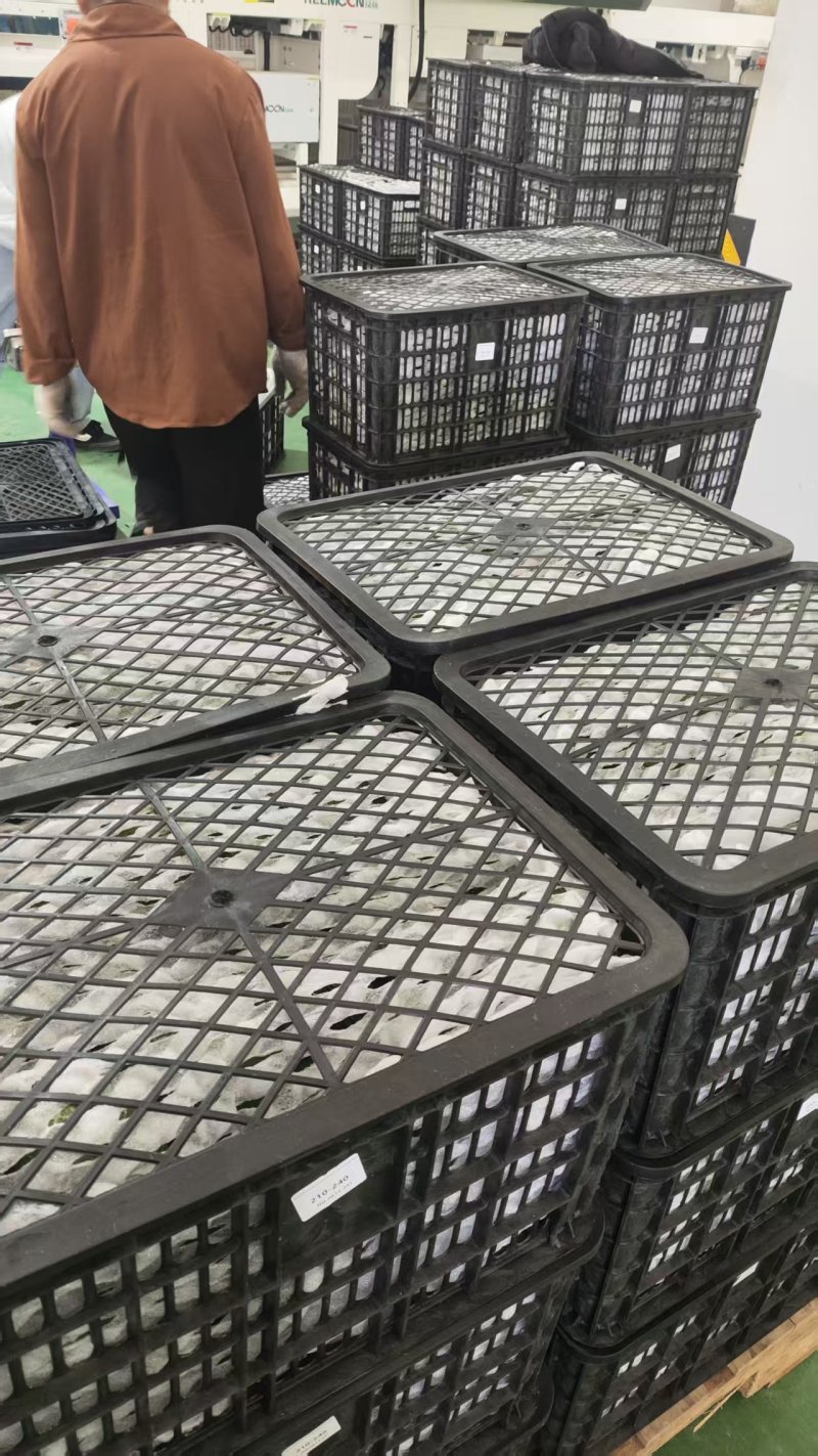 云南孟连县自家种植的15亩牛油果产地发货