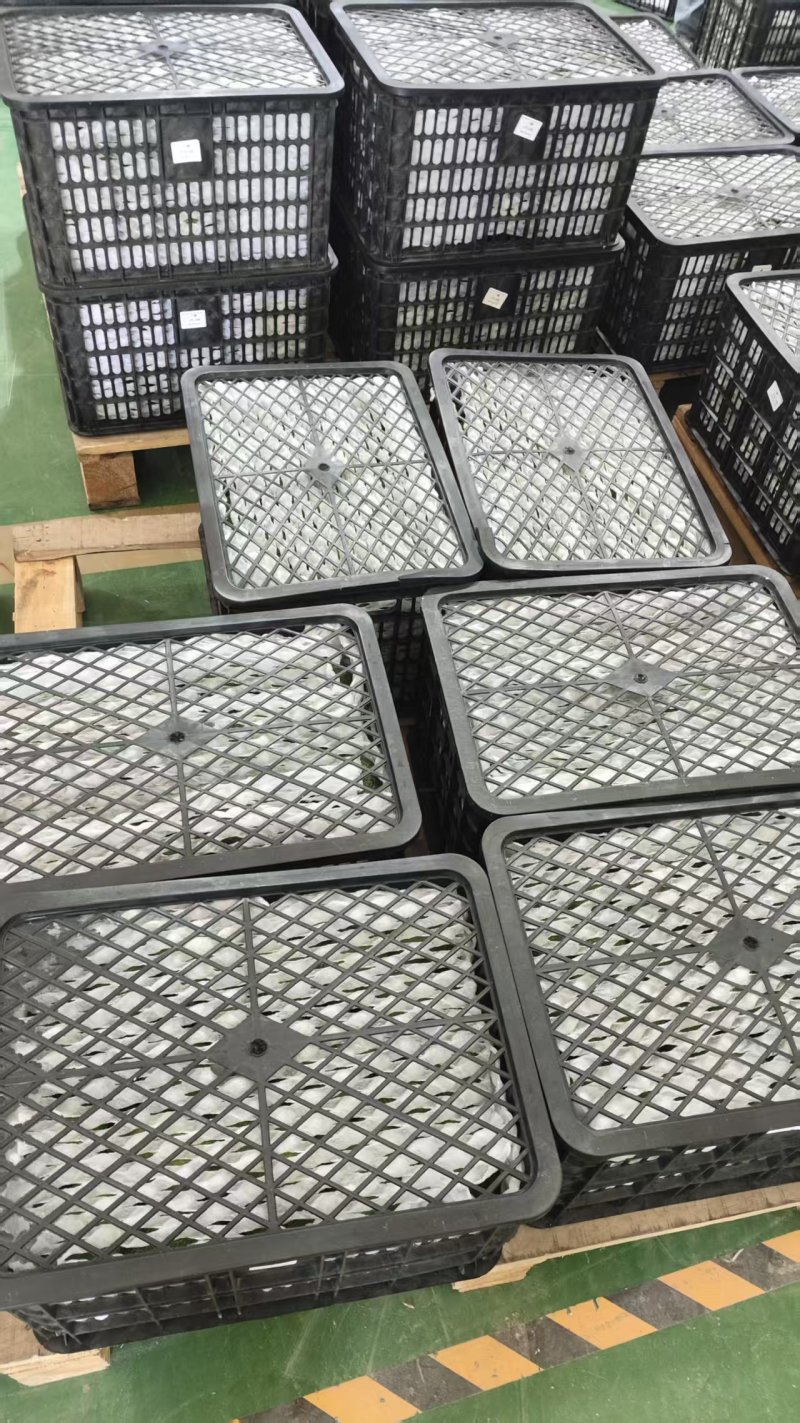 云南孟连县自家种植的15亩牛油果产地发货