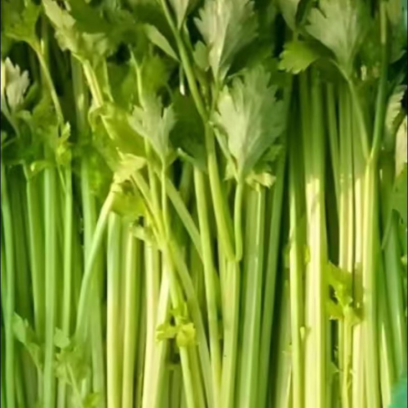 优质西芹