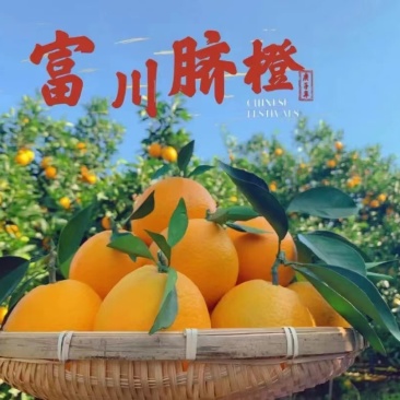 富川脐橙，65果—85果，无溃疡，黄龙，太阳果。糖度12