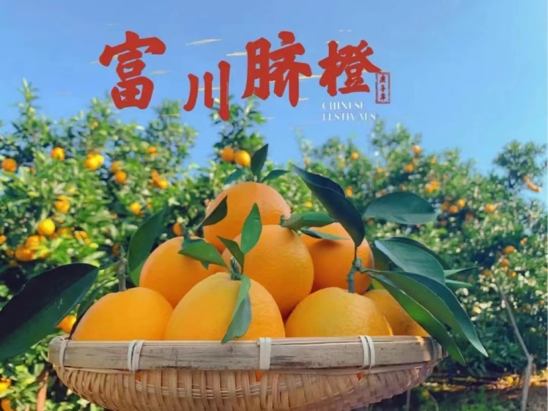 富川脐橙，65果—85果，无溃疡，黄龙，太阳果。糖度12