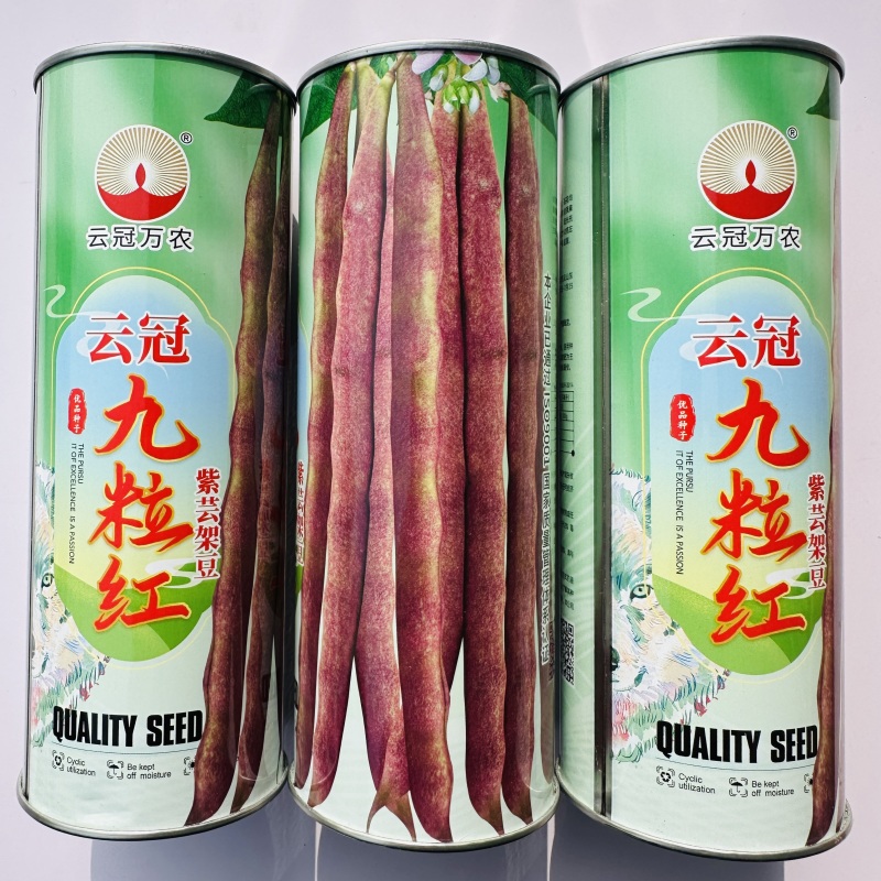芸冠九粒红架豆种籽春秋播种四季豆肉厚无筋高产豆角种籽
