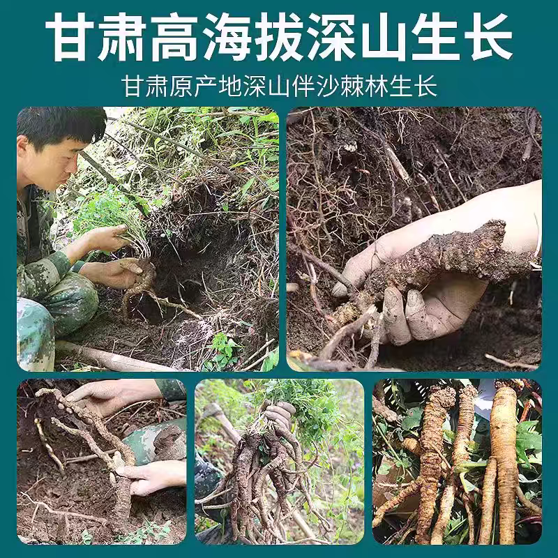 党参干货批发500g中药材正品甘肃岷县正宗切片